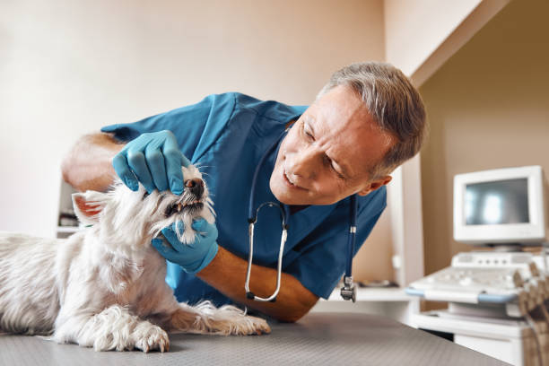 Best Emergency Root Canal Treatment in Reserve, LA
